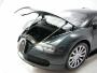 Bugatti Veyron 2009 Miniature 1/18 Minichamps